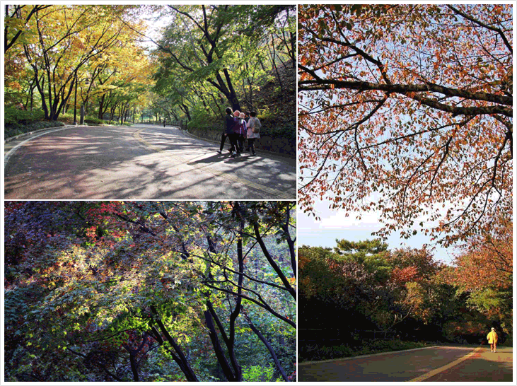 남산 순환산책길에서 만나는 계절, 그 안에서 자연을 느끼고 여유를 가져보아요! 전통 활쏘기