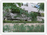 작품명 나무처럼 자라는 한글 작가명 최준석