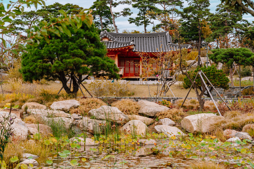 연못이 있는 정원. 한옥 한채가 뒷쪽에 있다.